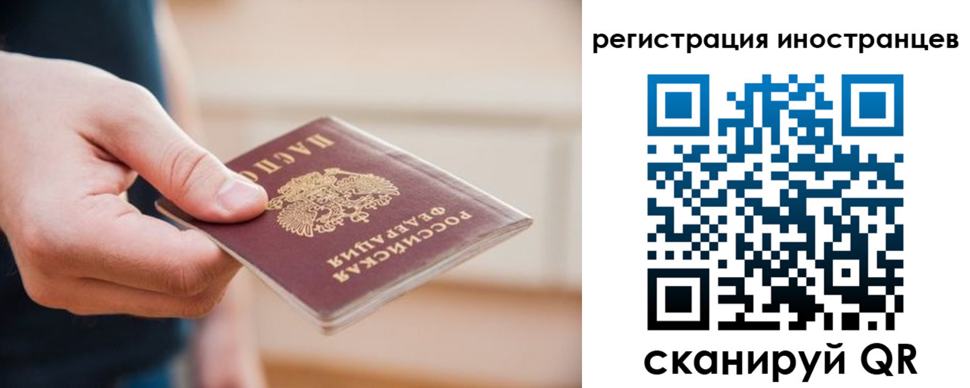 прописка гарантия в Камчатской области